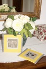CRW_1154.jpg